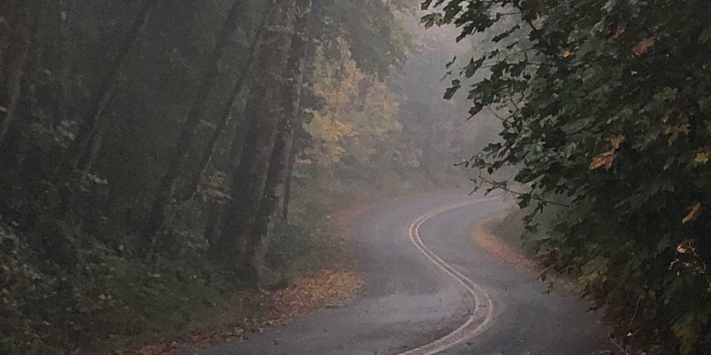 grapevine road, the inspiration for our name, winds uphill through trees on a misty fall day